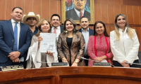 Senadores que radicaron ponencia negativa para archivar la reforma