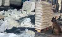 Incautación de droga.
