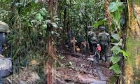 Hallan escuela de drones del Eln en Chocó