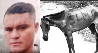 El ELN ha venido utilizando animales para su barbarie