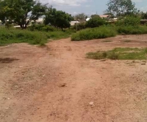 El terreno ya cuenta con escritura pública, licencia de construcción y planos de vivienda antisísmica.  