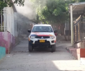 Con fumigación buscan controlar el virus. 