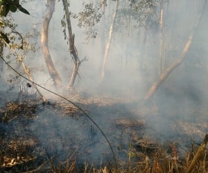 El incendio al parecer fue ocasionado por cazadores.