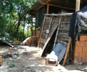 'Casa de pique' descubierta en Flandes, Tolima.