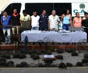 Capturados en Fundación.