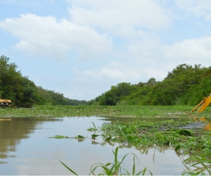 Dragado caños en la Ciénaga Grande de Santa Marta.