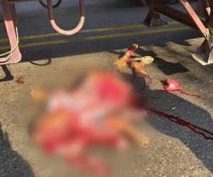 Persona que murió en el accidente. 