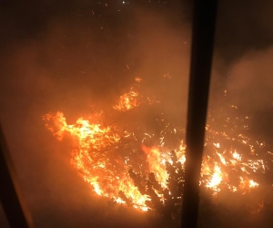 El incendio en el predio generó temor en las zonas residenciales cercanas.