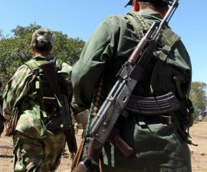Golpe a disidencias de las Farc