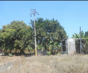 Finca Clara Esther, en el corregimiento de Riofrío