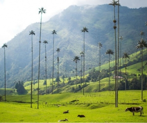 Salento, Quindío.