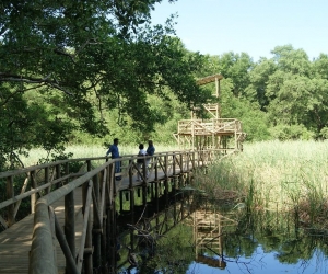 Vía Parque Isla de Salamanca 