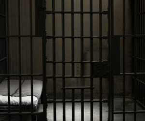 W RADIO Imagen de referencia