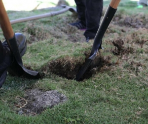 JEP Imagen de referencia