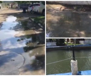 Sigue la afectación ambiental en Lagos del Dulcino.