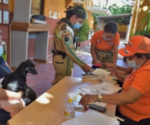 Jornada de atención médica a los animales de Santa Marta