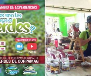 Corpamag Los Negocios Verdes ganan cada vez más espacio en la economía colombiana