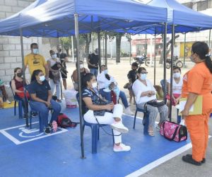 Jornadas de esterilización.