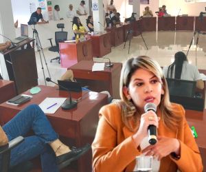 El proyecto no cuenta con viabilidad por parte de los expertos.