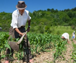 La nueva línea de crédito será priorizados para campesinos