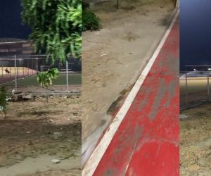 Así está el Polideportivo en Santa Marta