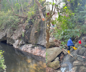 Corpamag alerta sobre crisis ambiental por contaminación del río Gaira en Minca