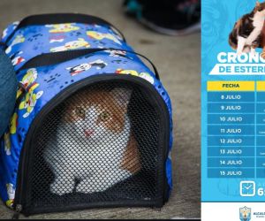 Esterilizaciones gratuitas
