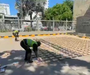 Cocaína incautada en contenedores de cacao en el puerto de Cartagena. 