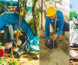 Jornada de recuperación del Parque Sesquicentenario.