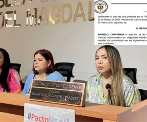 Decisión del Consejo de Estado.