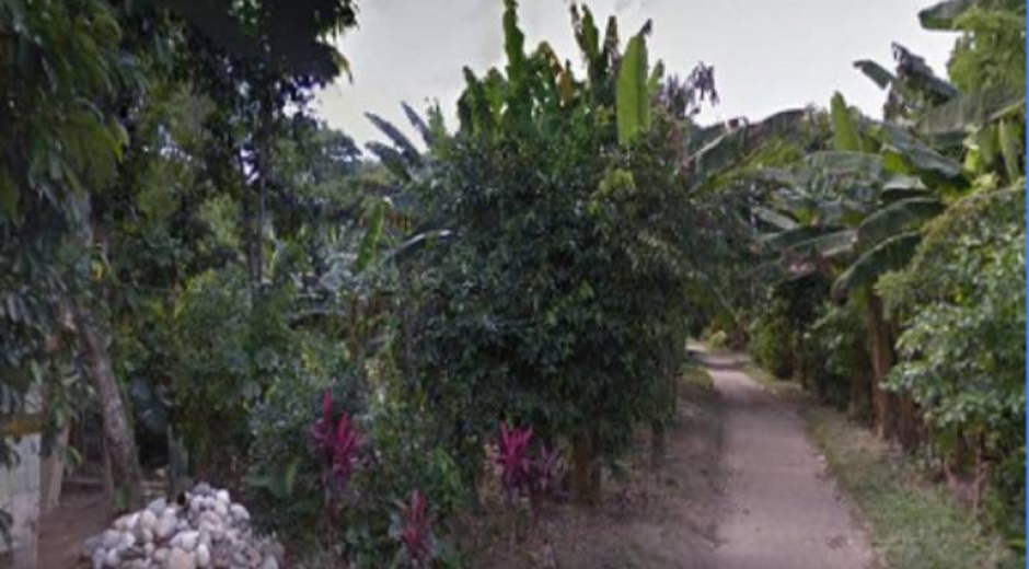 Caracol Radio. Presencia de un tigre tiene en alerta a habitantes de área rural de Santa Marta.