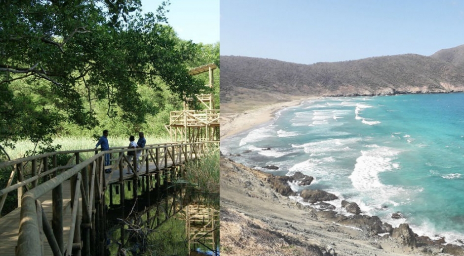 Vía Parque Isla de Salamanca y Parque Tayrona.