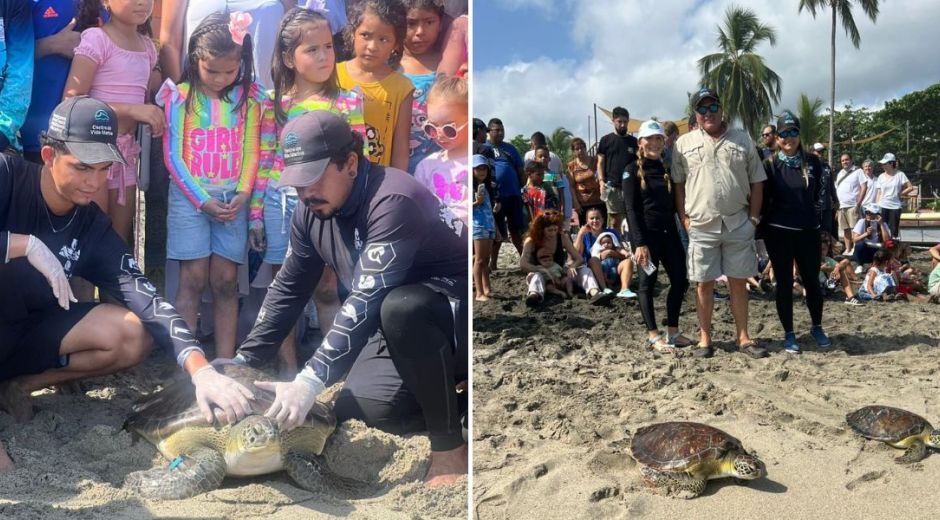 Corpamag. Liberación de Tortugas en playas de Mendihuaca.